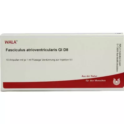 Atriyoventriküler fasikül GL D 8 ampul, 10X1 ml Atriyoventriküler fasikül GL D 8 ampul, 10X1 ml