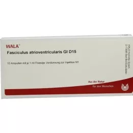 FASCICULUS atrioventricularis GL D 15 ampul, 10X1 ml