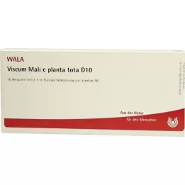 VISCUM MALI e planta tota D 10 ampul, 10X1 ml