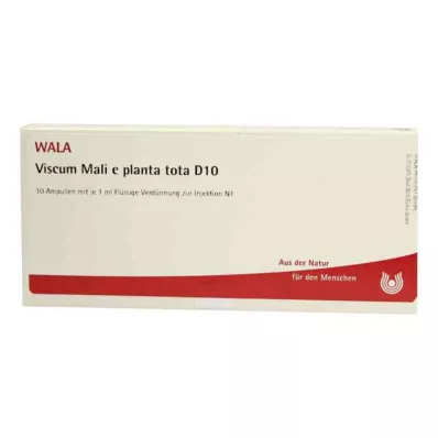 VISCUM MALI e planta tota D 10 ampul, 10X1 ml