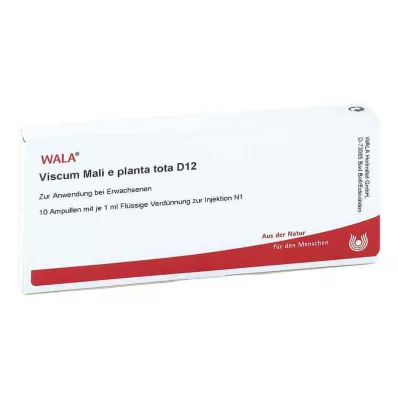 VISCUM MALI e planta tota D 12 ampul, 10X1 ml VISCUM MALI e planta tota D 12 ampul, 10X1 ml