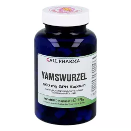 YAMSWURZEL 500 mg GPH Kapsül, 120 Kapsül