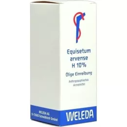 EQUISETUM ARVENSE H %10 yağlı liniment, 50 ml