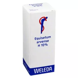 EQUISETUM ARVENSE H %10 yağlı liniment, 50 ml