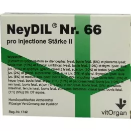 NEYDIL No.66 pro injectione St.2 ampul, 5X2 ml