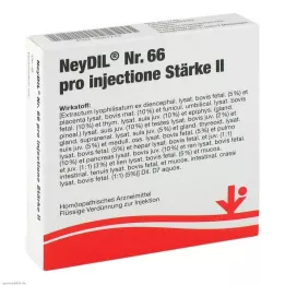 NEYDIL No.66 pro injectione St.2 ampul, 5X2 ml