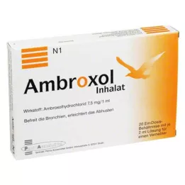 AMBROXOL Nebülizör için inhalasyon çözeltisi, 20X2 ml