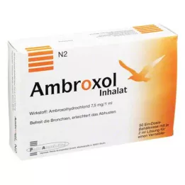 AMBROXOL Nebülizör için inhalasyon çözeltisi, 50X2 ml