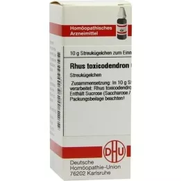 RHUS TOXICODENDRON C 6 globül, 10 g