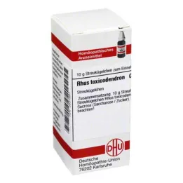 RHUS TOXICODENDRON C 6 globül, 10 g