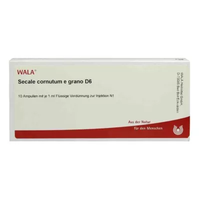 Secale Cornutum E Grano D6 ampuller (10x1 ml) Secale Cornutum E Grano D6 ampuller (10x1 ml)