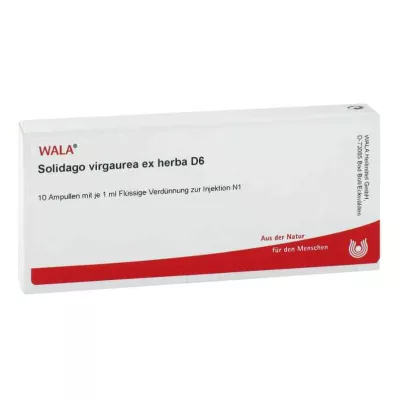 Solidago Virgaurea ex herba D6 ampuller (10x1 ml)