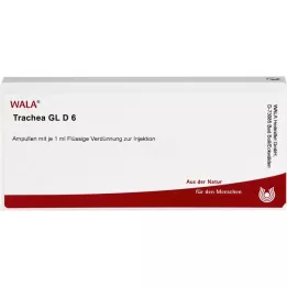 TRACHEA GL D 6 ampul, 10X1 ml