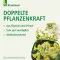 Bronchicum® İksiri, 100 ml