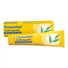 PINIMENTHOL Soğuk merhem Eucal/çam/menth, 100 g