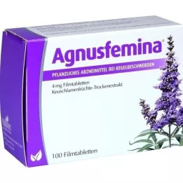AGNUSFEMINA 4 mg film kaplı tablet, 100 adet