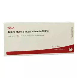 TUNICA mukosa intestini tenuis GL D 30 ampul, 10X1 ml