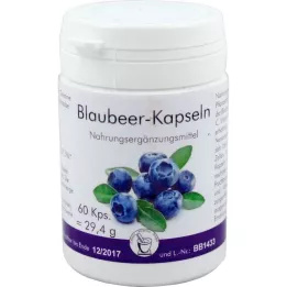 BLAUBEER Kapsüller, 60 adet