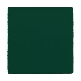 MULLKOMPRESSEN 10x10 cm 12x yeşil, 100 adet