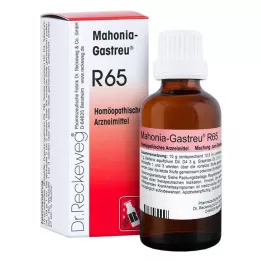 MAHONIA-Gastreu R65 karışımı, 50 ml