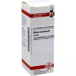 ALLIUM URSINUM Ana tentür, 20 ml