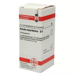 ARUNDO mauritanica D 6 globül, 10 g