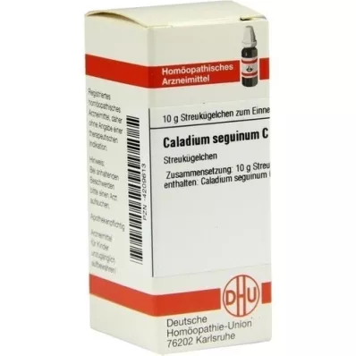 CALADIUM seguinum C 30 globül, 10 g
