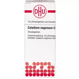 CALADIUM seguinum C 200 globül, 10 g