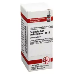 CAULOPHYLLUM THALICTROIDES D 12 globül, 10 g