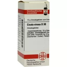 CICUTA VIROSA D 30 globül, 10 g