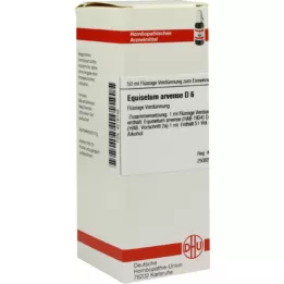 EQUISETUM ARVENSE D 6 seyreltme, 50 ml