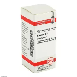 KALMIA D 6 globül, 10 g