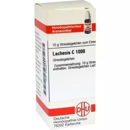 LACHESIS C 1000 globül, 10 g