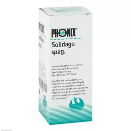 PHÖNIX SOLIDAGO spag. karışımı, 100 ml
