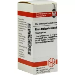 RHUS TOXICODENDRON C 1000 globül, 10 g