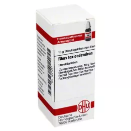 RHUS TOXICODENDRON C 1000 globül, 10 g