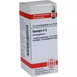 SPONGIA C 6 globül, 10 g