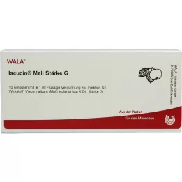 ISCUCIN mali nişasta G ampulleri, 10X1 ml