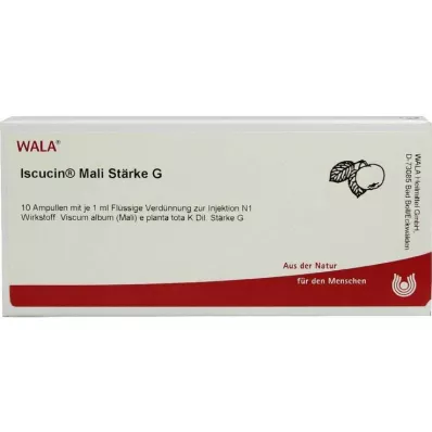 ISCUCIN mali nişasta G ampulleri, 10X1 ml