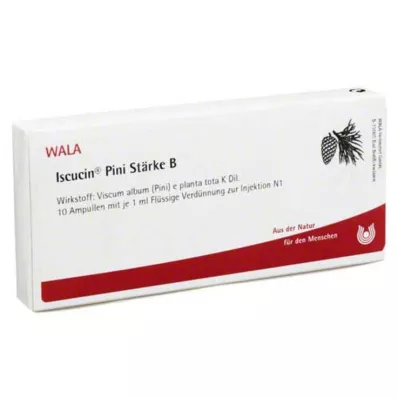 ISCUCIN pini nişasta B ampul, 10X1 ml