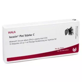 ISCUCIN pini Nişasta C ampulleri, 10X1 ml