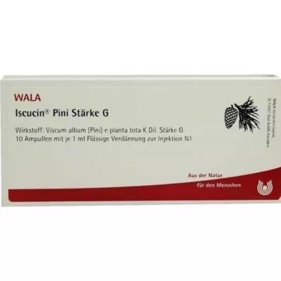 ISCUCIN pini nişasta G ampul, 10X1 ml