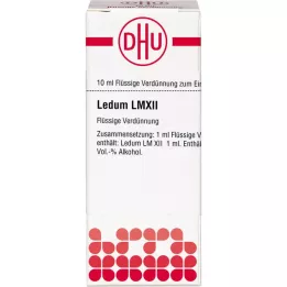 LEDUM LM XII Seyreltme, 10 ml