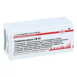 GALPHIMIA GLAUCA LM XII Globül, 5 g