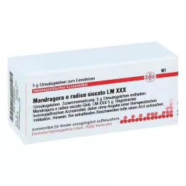 MANDRAGORA E radice siccata LM XXX Kürecikler, 5 g