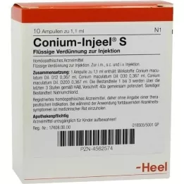 CONIUM INJEEL S Ampuller, 10 adet