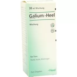 GALIUM COMP.-Heel ad us.vet.drops, 30 ml