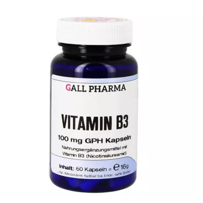 VITAMIN B3 100 mg GPH Kapsül, 60 Kapsül