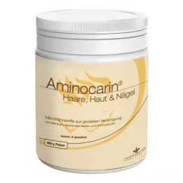 AMINOCARIN Toz teneke, 400 g