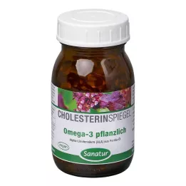 OMEGA-3 FETTSÄUREN %100 bitkisel kapsül, 120 Kapsül